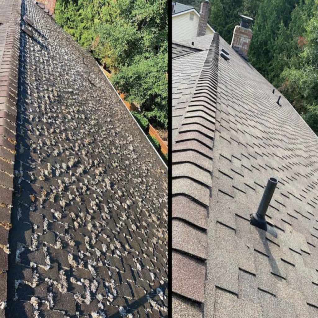 roof cleaning Vancouver WA