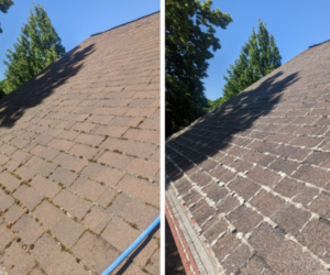 roof cleaning Vancouver WA