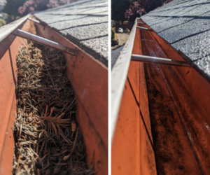 roof cleaning Vancouver WA